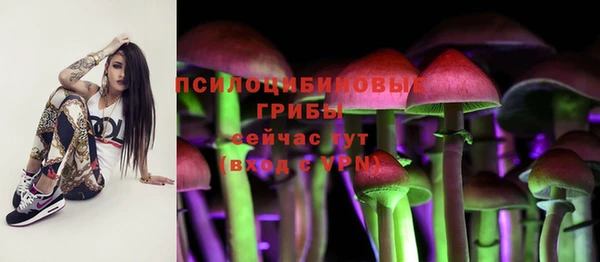 Альфа ПВП Бугульма