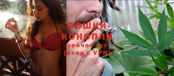 стаф Сосновка