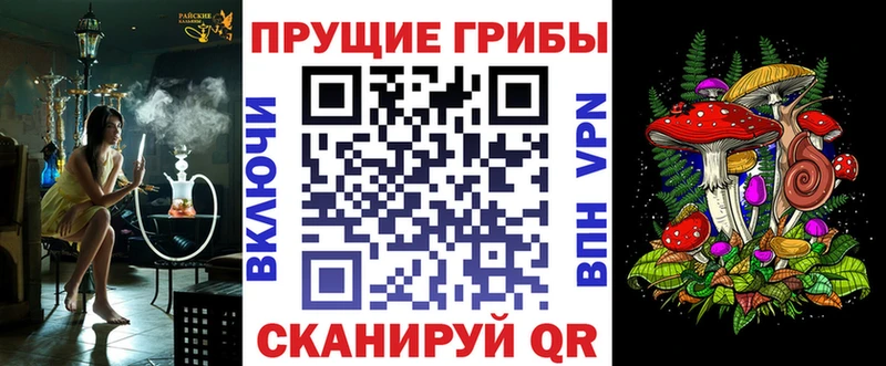 Псилоцибиновые грибы GOLDEN TEACHER  shop Telegram  mega ссылка  Киреевск  где найти  