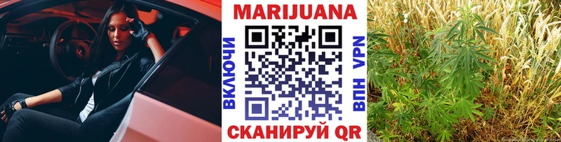 Каннабис сатива  Киреевск 